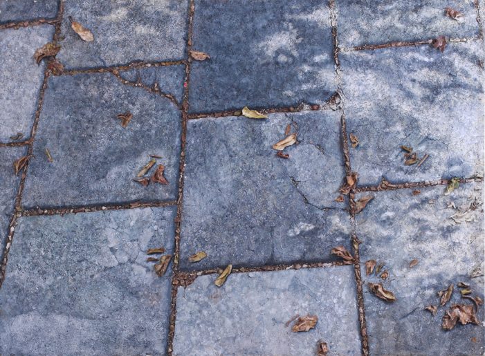 image006